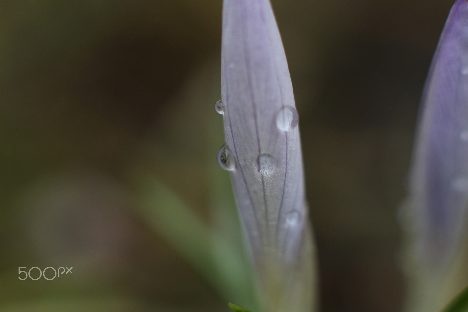 Canon EOS 700D (EOS Rebel T5i / EOS Kiss X7i) sample photo. 20180331_spaziergang harz photography