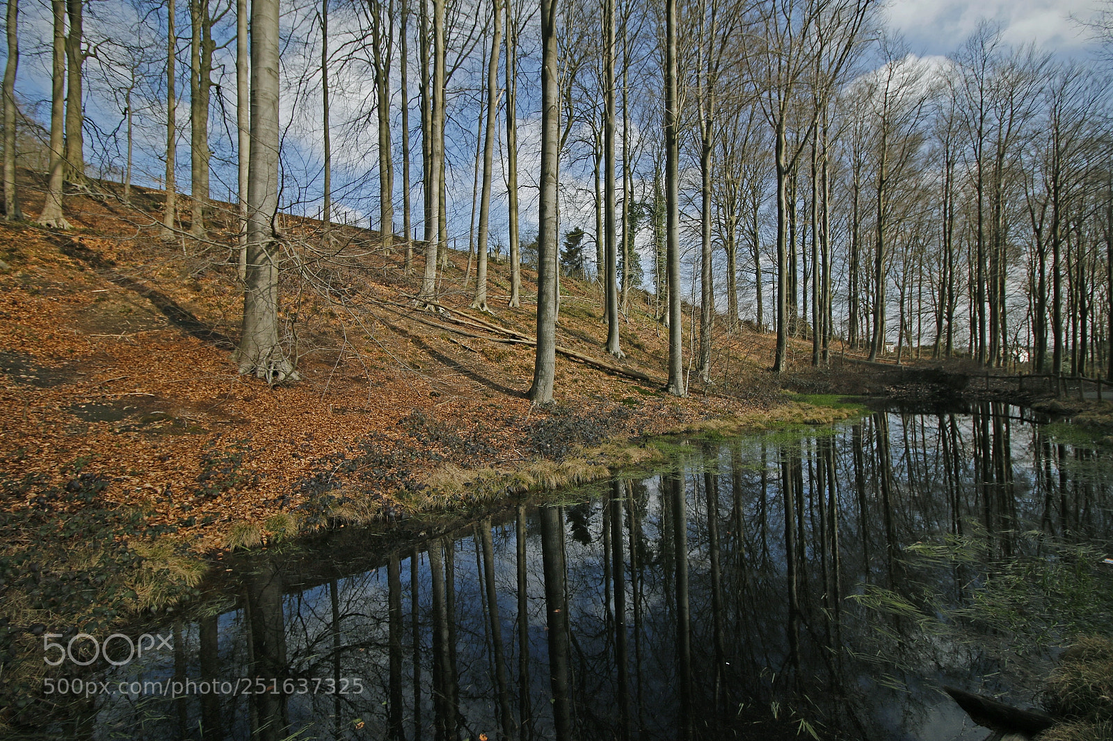 Canon EOS 70D sample photo. Little lake photography