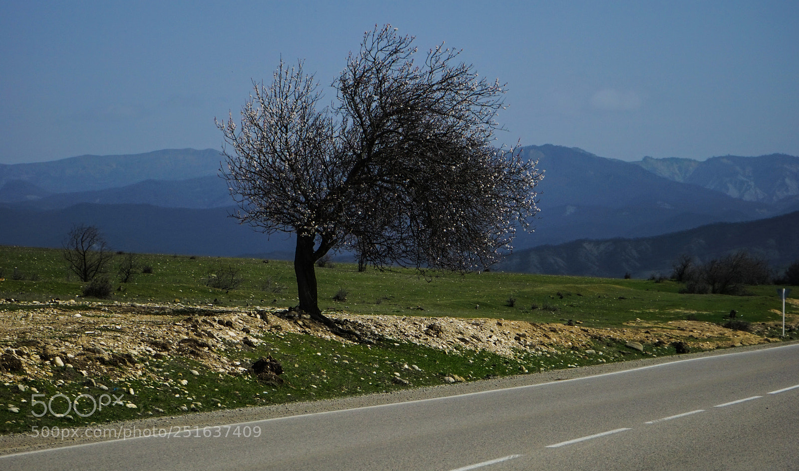 Sony a7 sample photo. Spring landscape with only photography