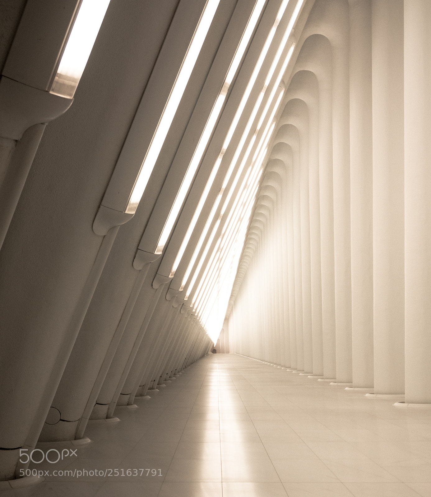 Panasonic Lumix DMC-GX85 (Lumix DMC-GX80 / Lumix DMC-GX7 Mark II) sample photo. Go deep photography