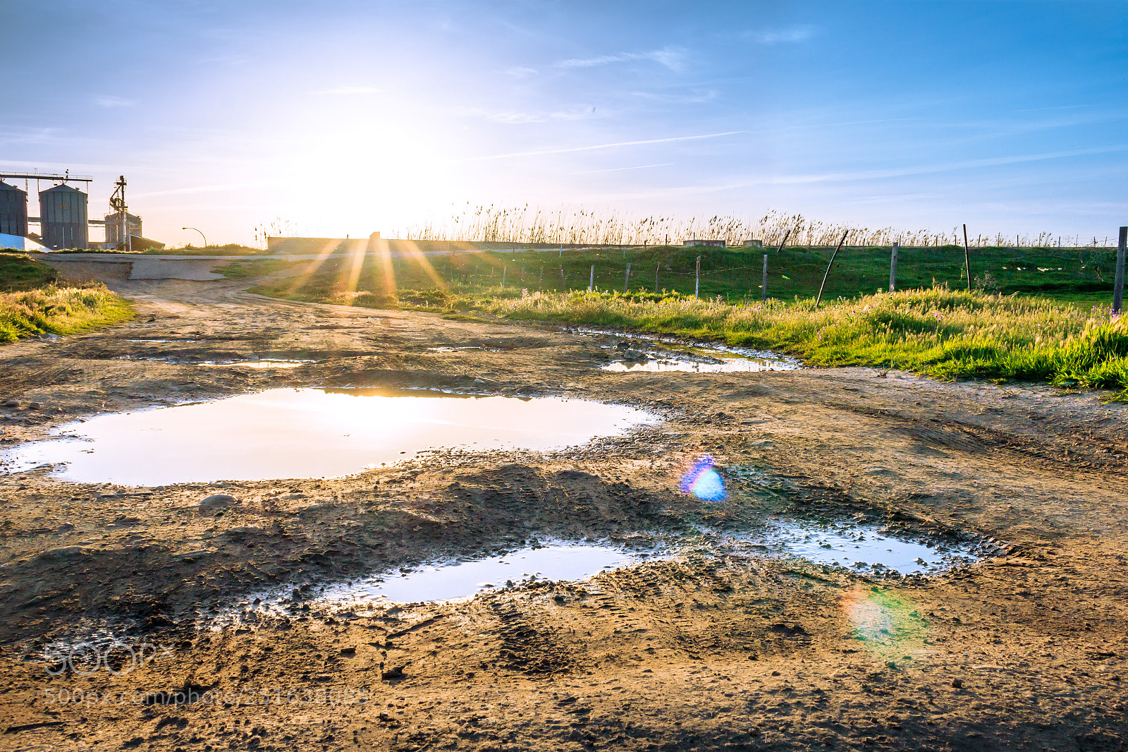 Canon EOS 750D (EOS Rebel T6i / EOS Kiss X8i) sample photo. Puddle photography