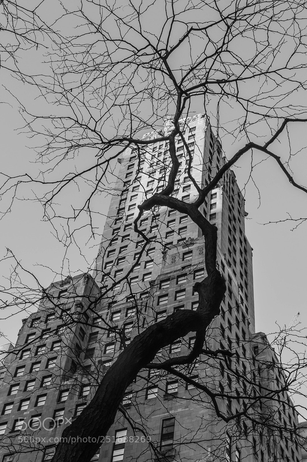 Nikon D90 sample photo. Chicago photography