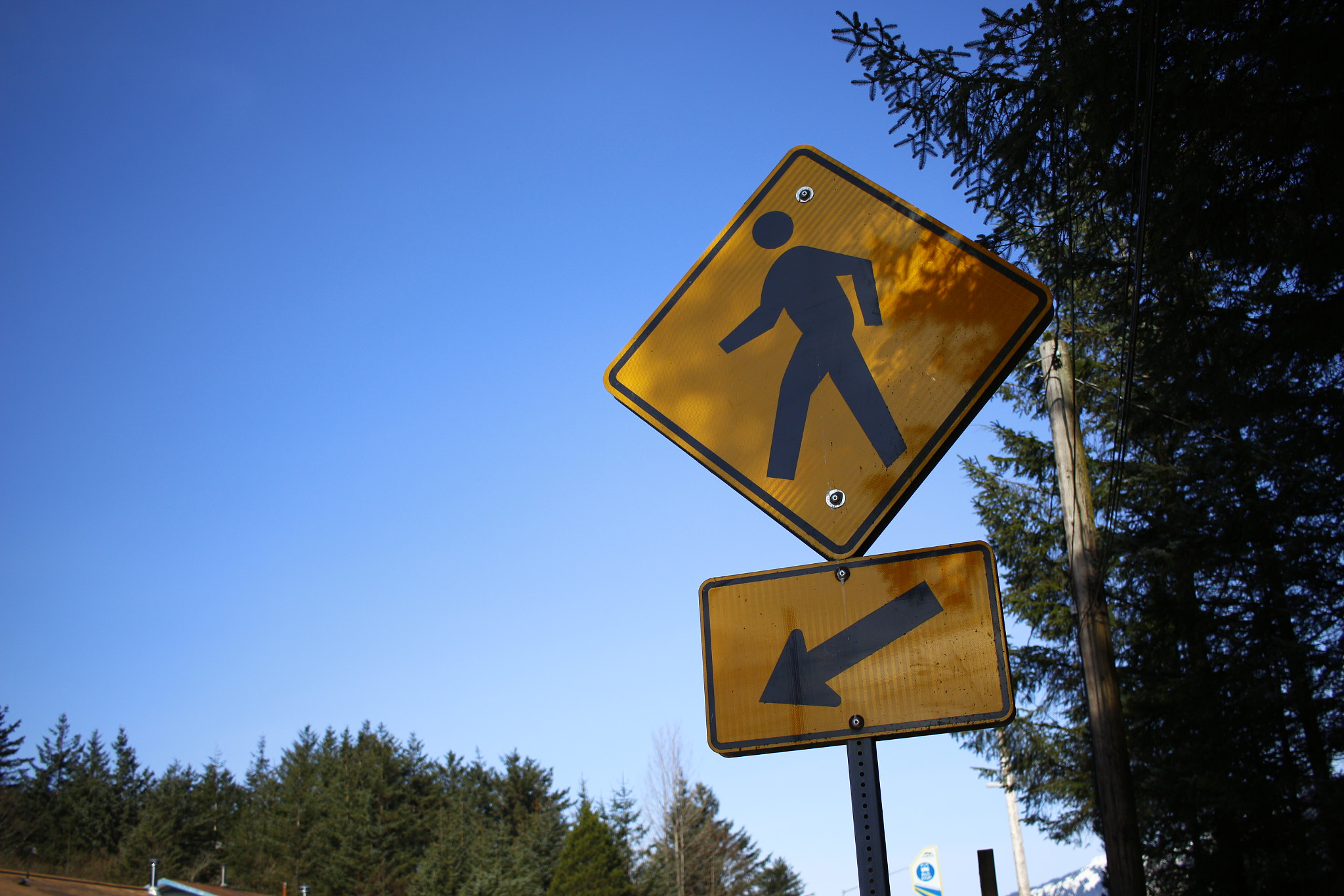 Canon EF-S 24mm F2.8 STM sample photo