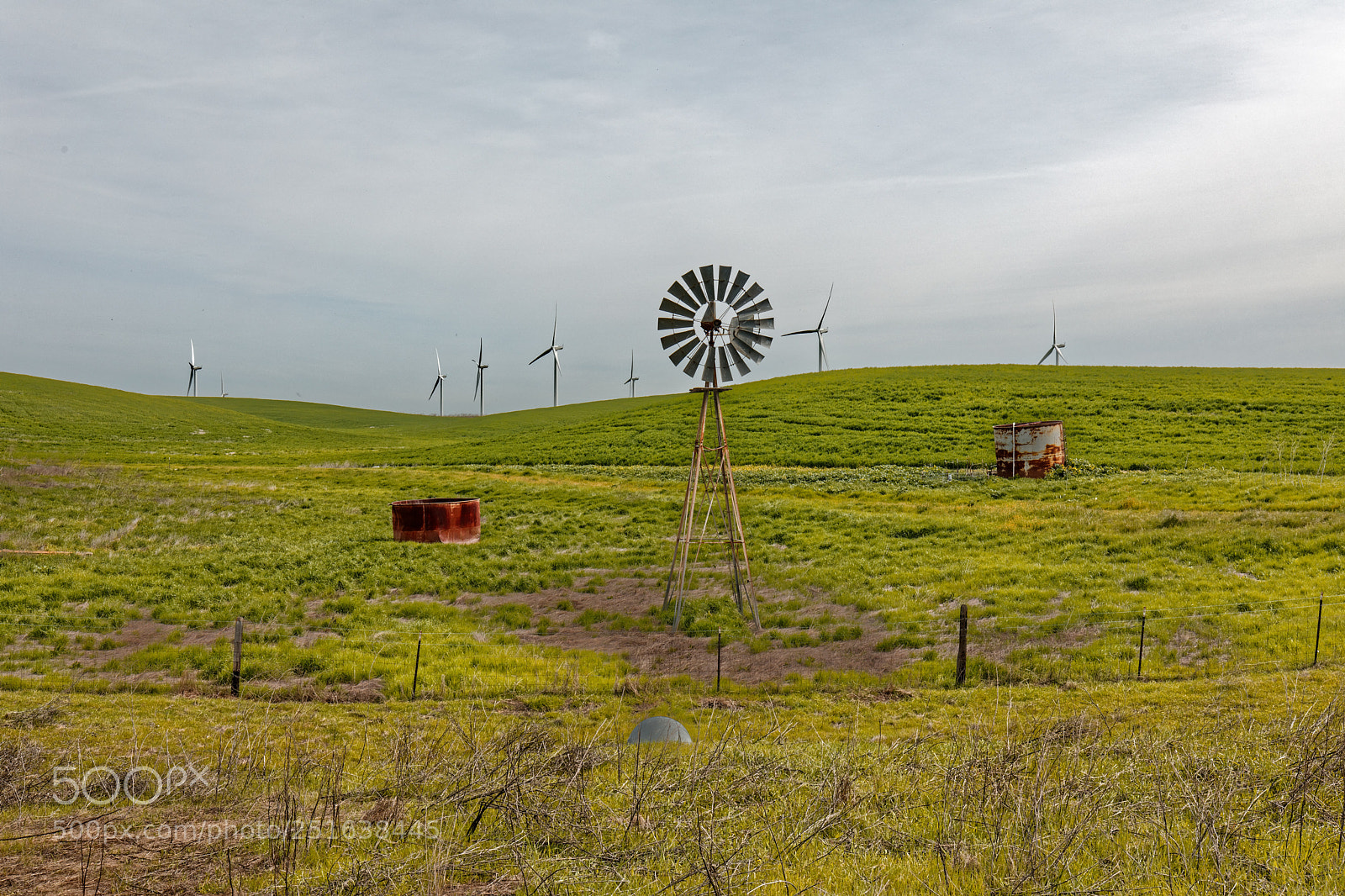 Canon EOS 5D Mark IV sample photo. Untitled 113 photography