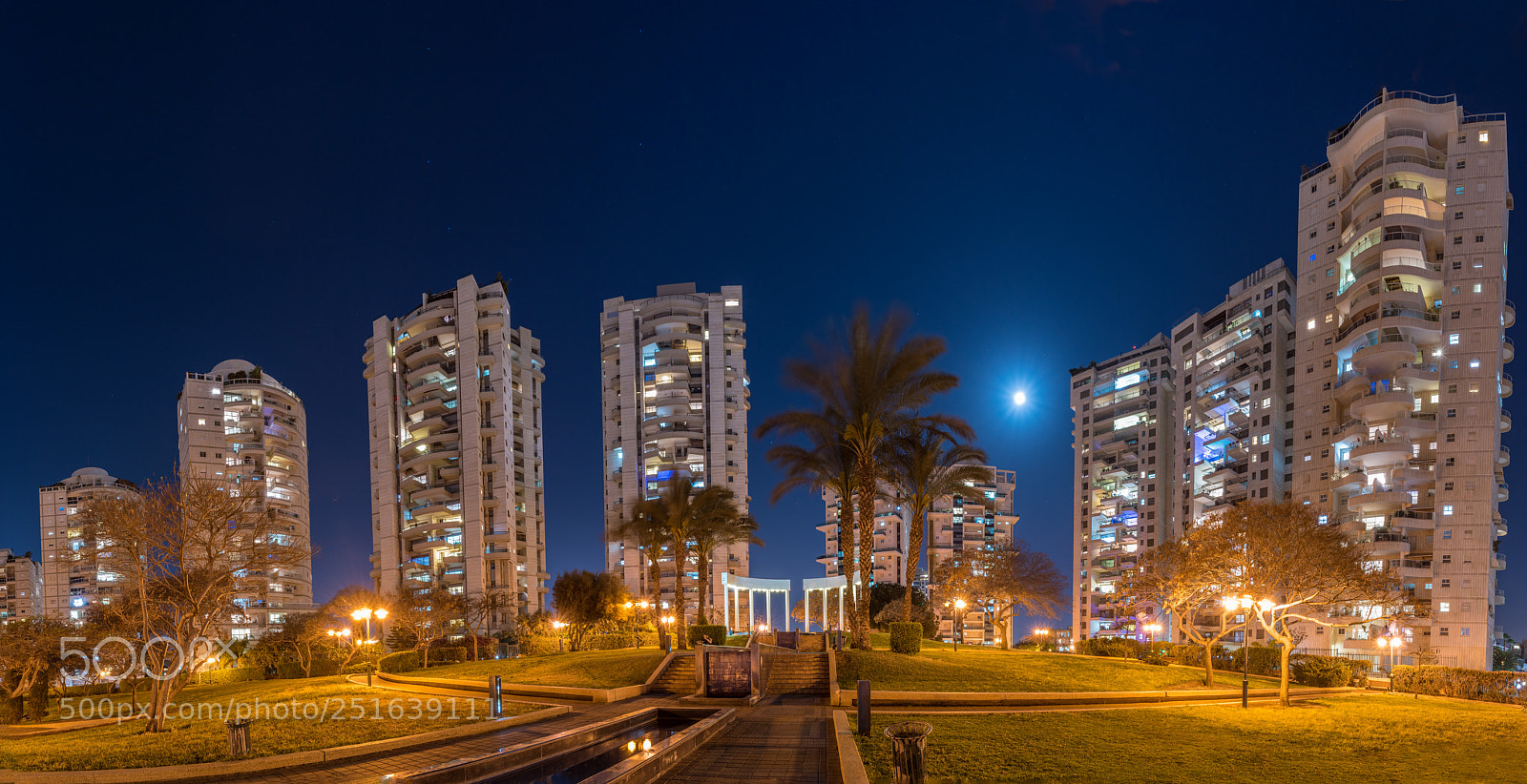 Nikon D5600 sample photo. Merom naveh park photography