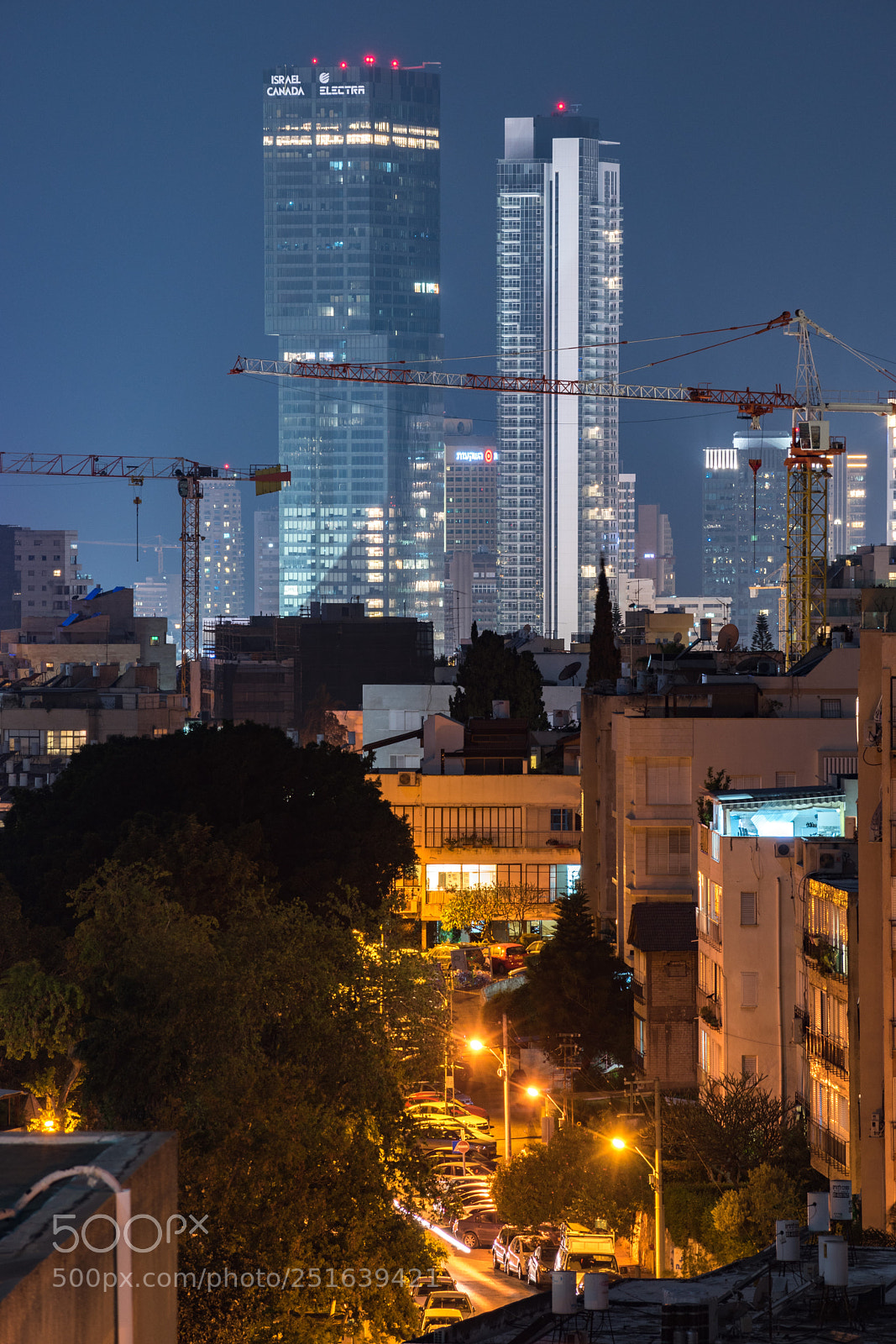 Nikon D5600 sample photo. Cranes photography