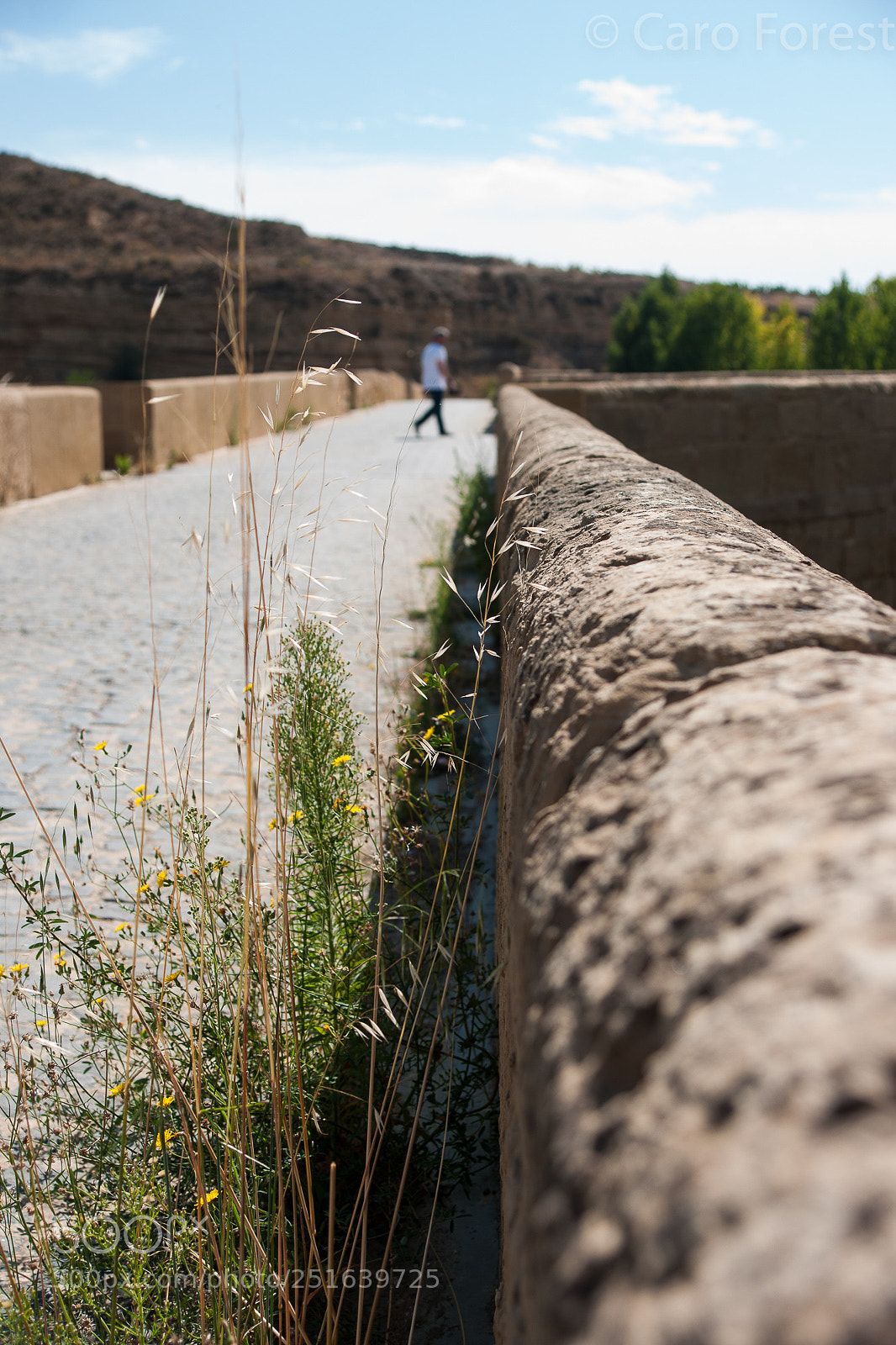 Sony Alpha DSLR-A700 sample photo. Old bridge photography