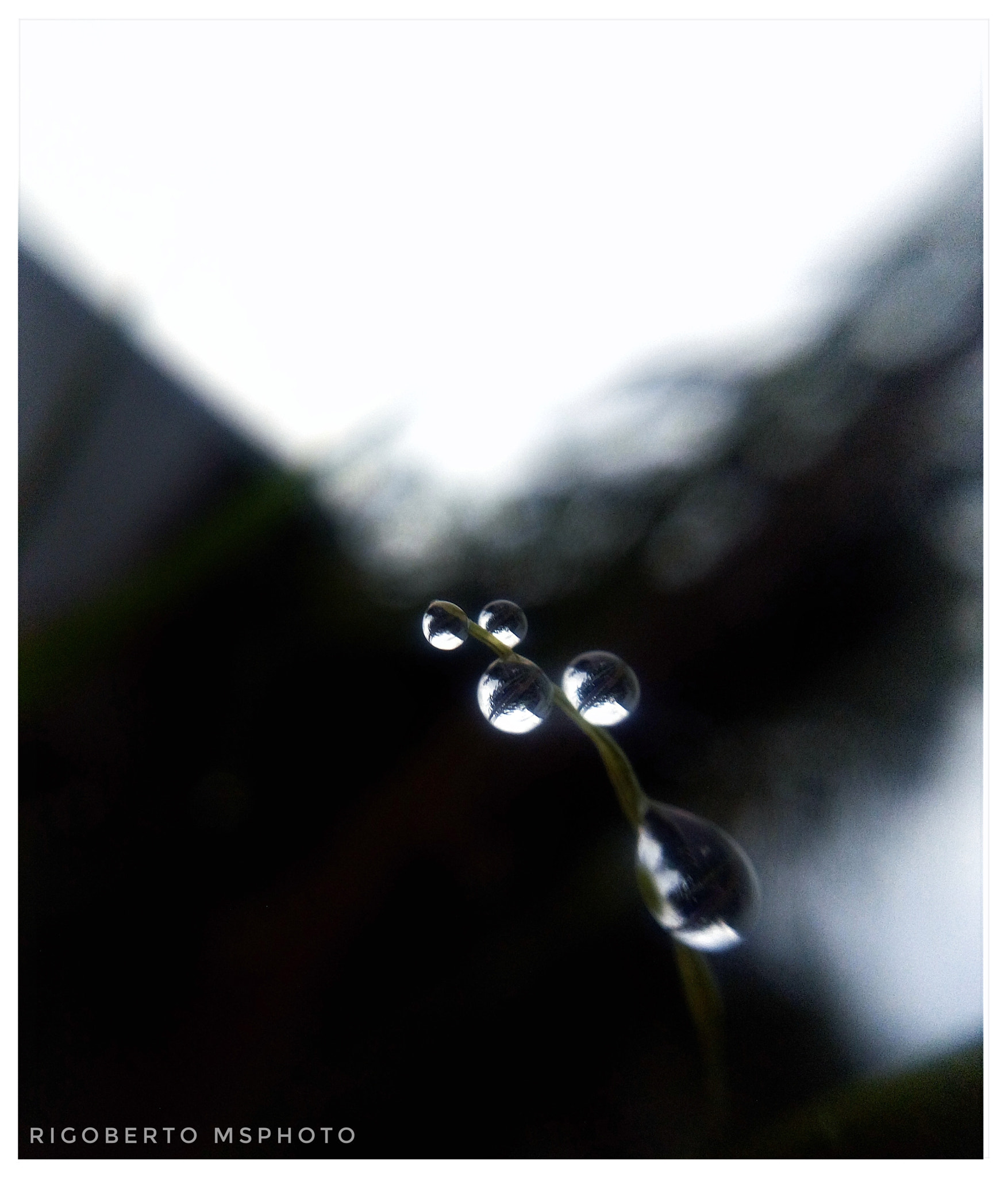 ZTE BLADE V7 sample photo. Como gotas de agua photography