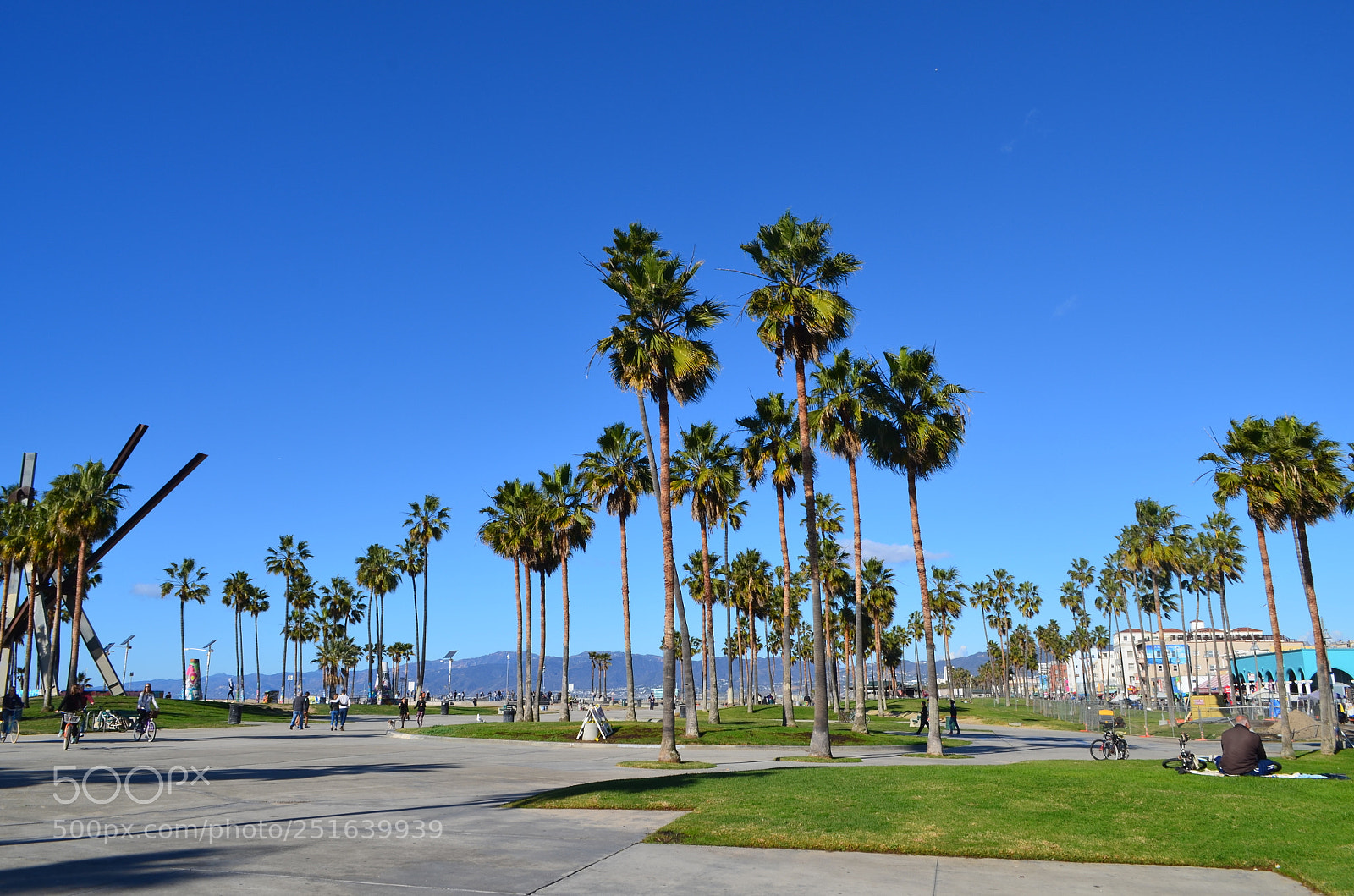 Nikon D5100 sample photo. Venice beach photography