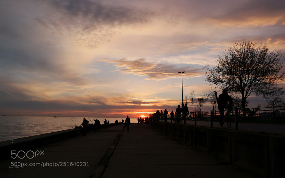 Samsung NX1 sample photo. ... photography
