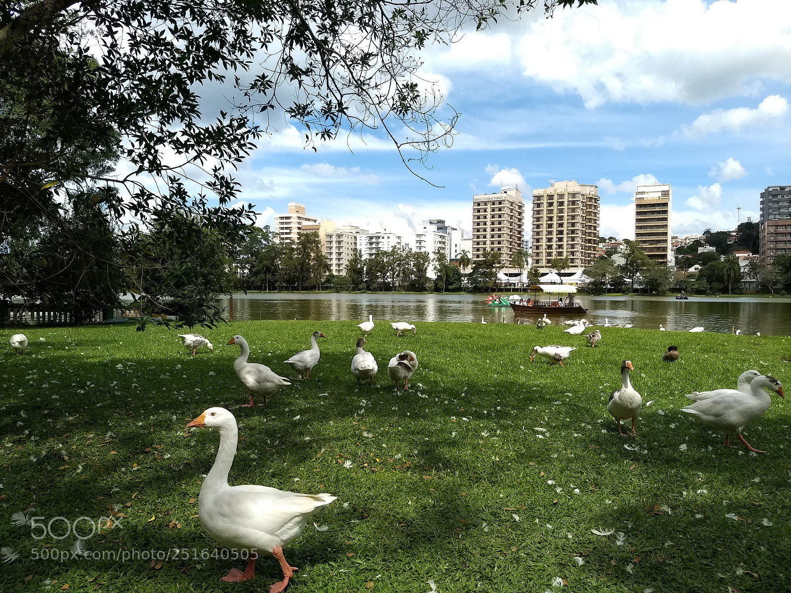 Motorola Moto G (5) Plus sample photo. Parque das guas- s photography