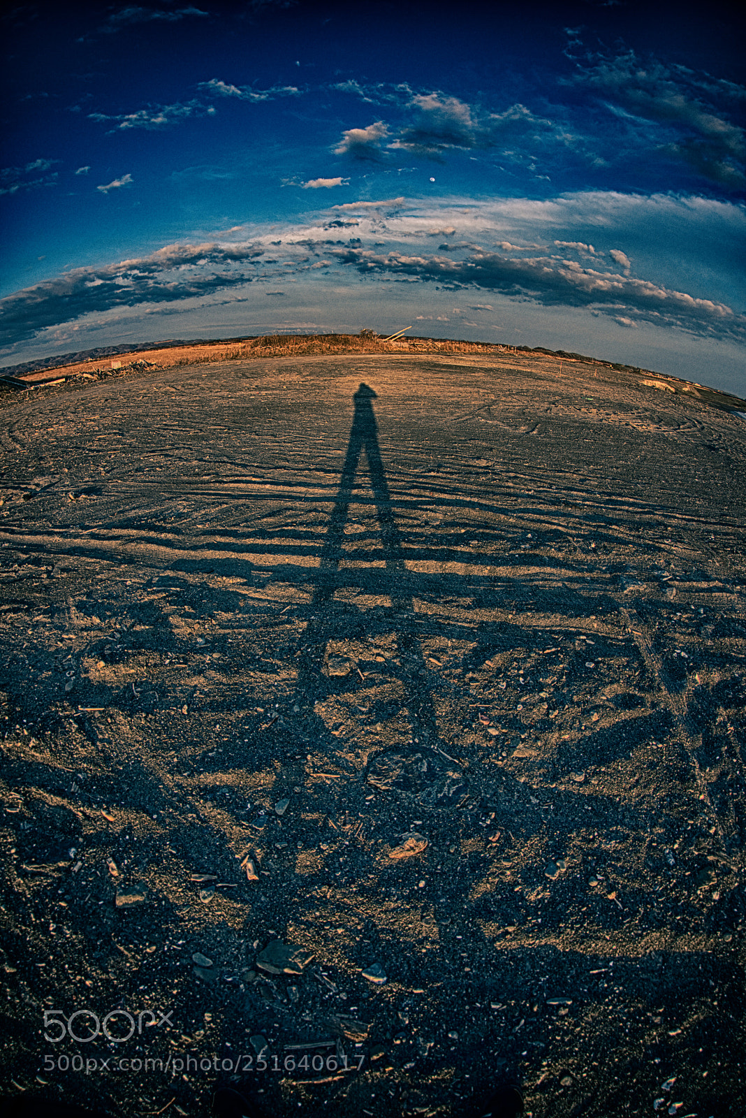 Nikon D810 sample photo. Shadow self portrait photography