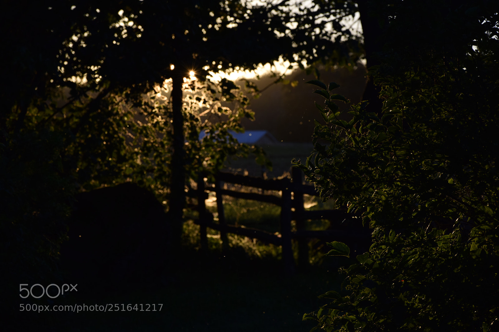 Nikon D5300 sample photo. Kind of spring photography