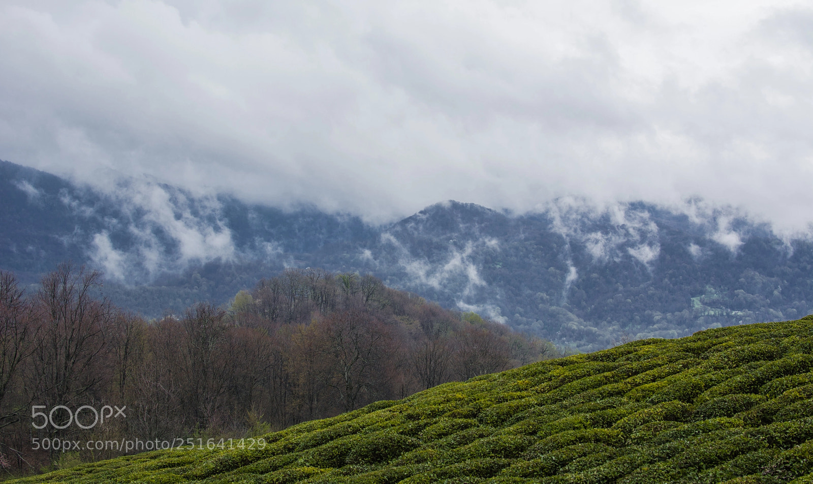 Nikon D5200 sample photo. The mountains photography