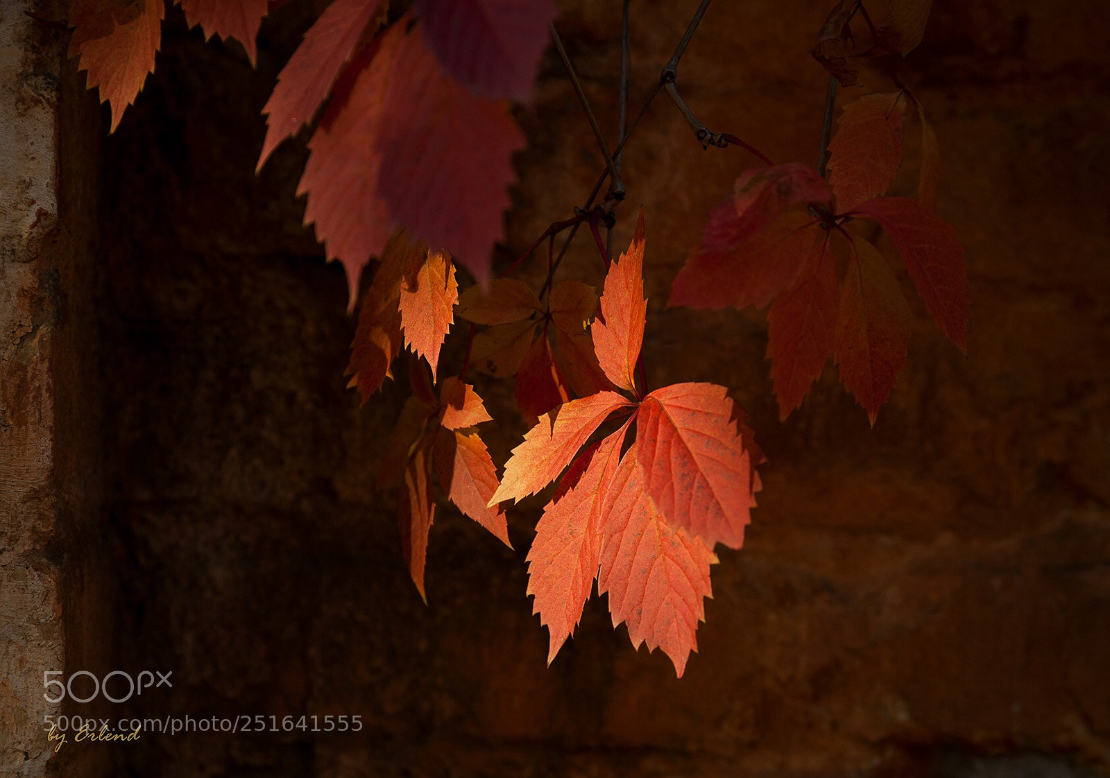 Canon EOS 5D Mark II sample photo. Untitled photography