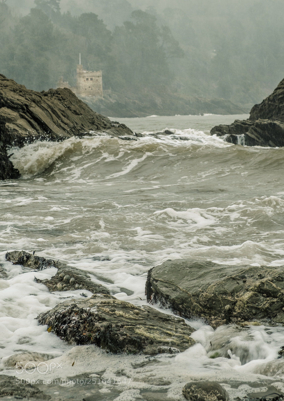 Fujifilm X-T2 sample photo. Belliver forest & dartmouth cove photography