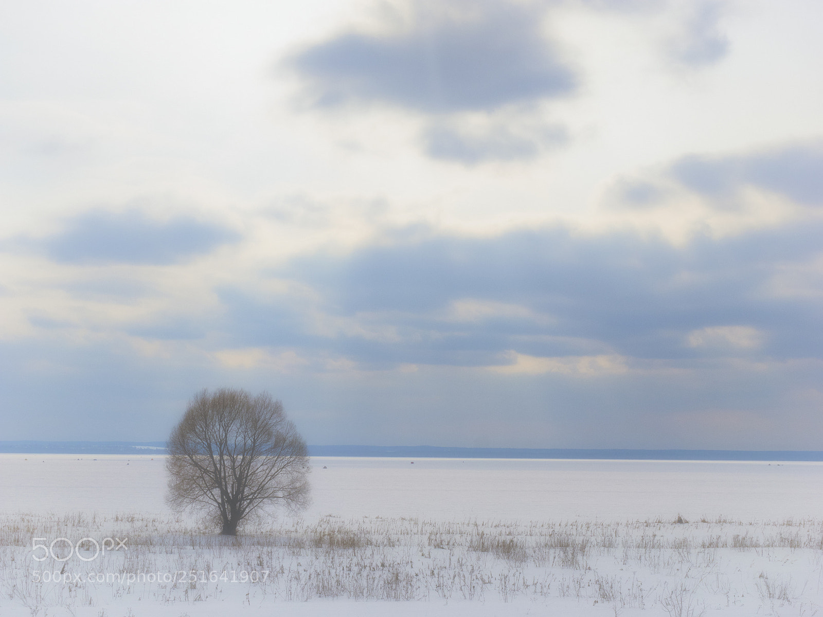 Olympus OM-D E-M1 sample photo. Early spring day on photography
