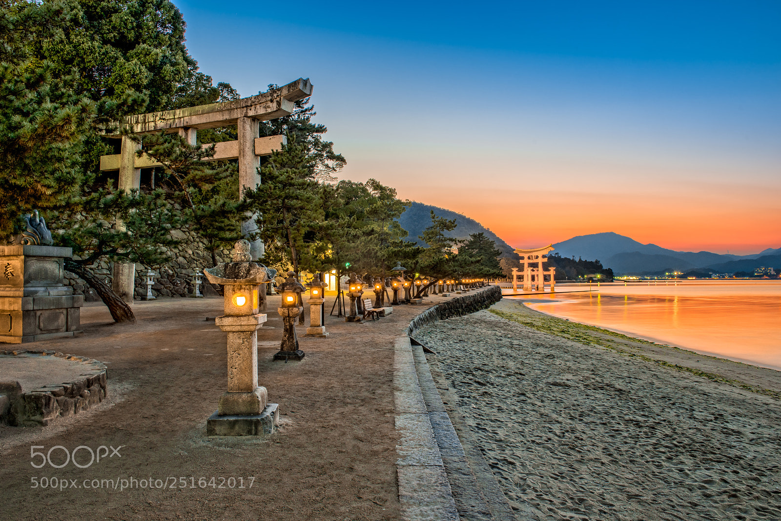Nikon D810 sample photo. Path to the floating photography