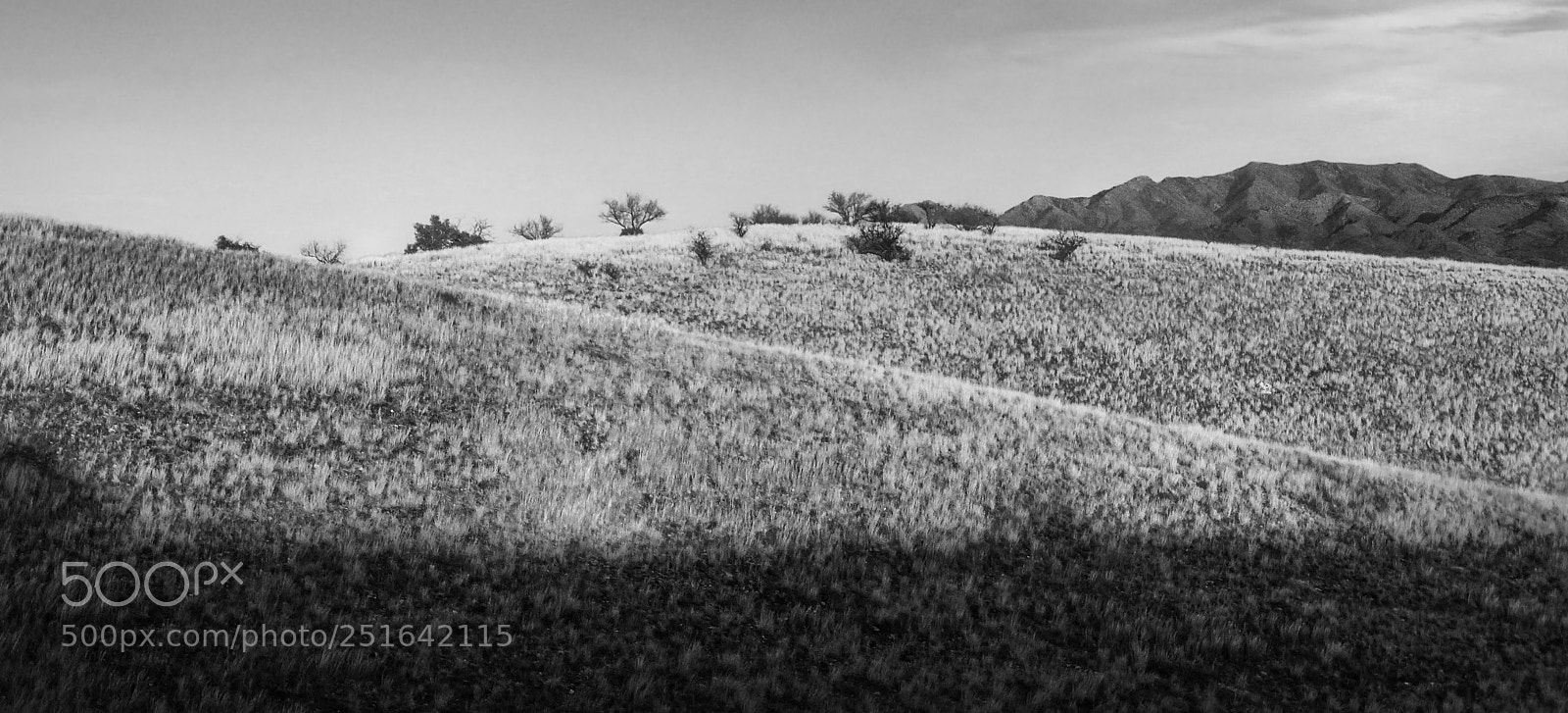 Panasonic Lumix DMC-LX7 sample photo. Crescents photography