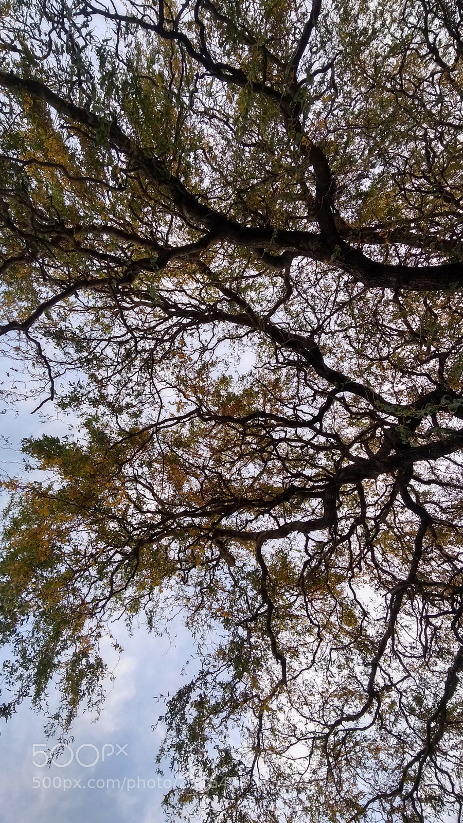 Motorola Moto G (5S) Plus sample photo. Untitled photography
