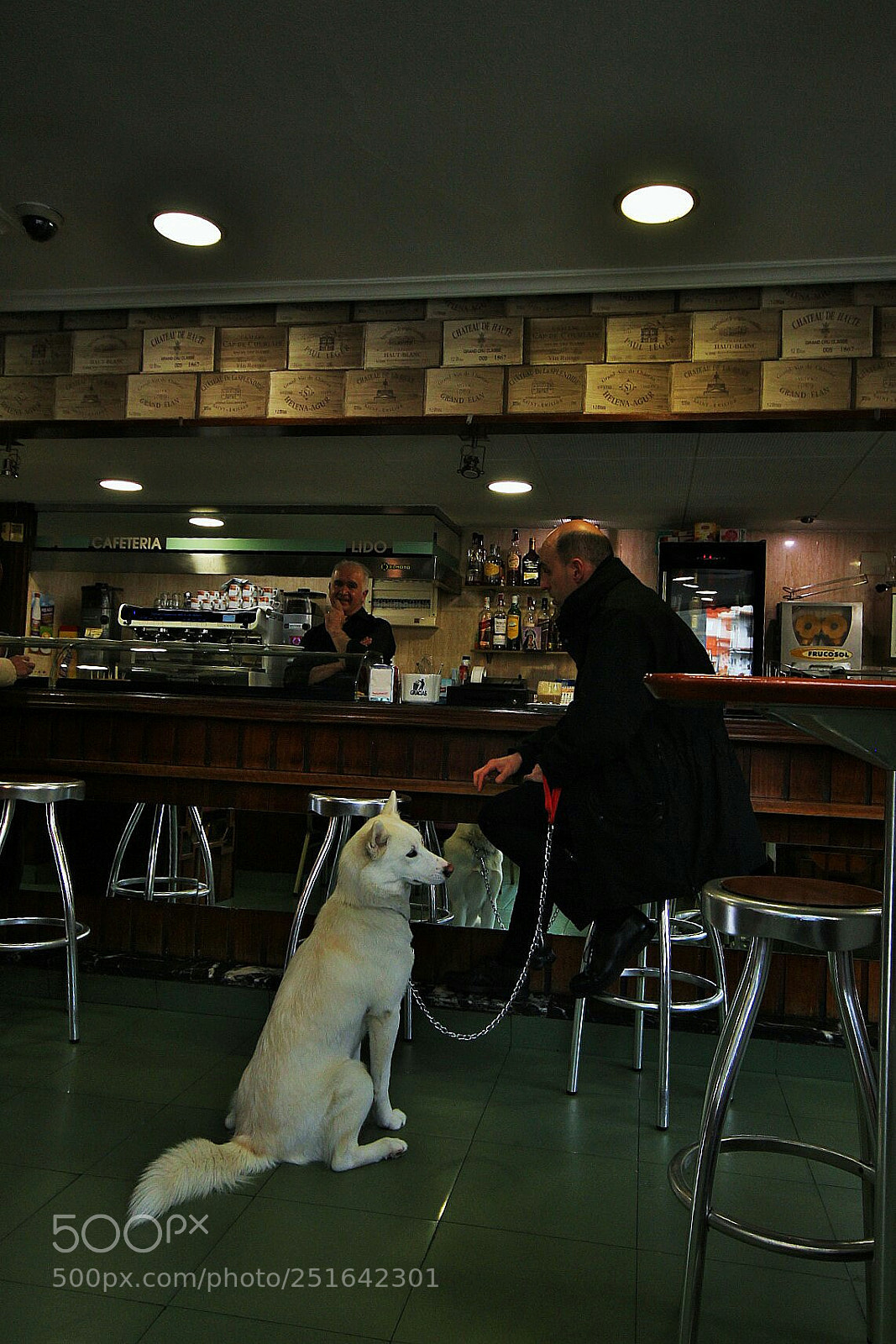 Canon EOS 700D (EOS Rebel T5i / EOS Kiss X7i) sample photo. Su perro que toma? photography