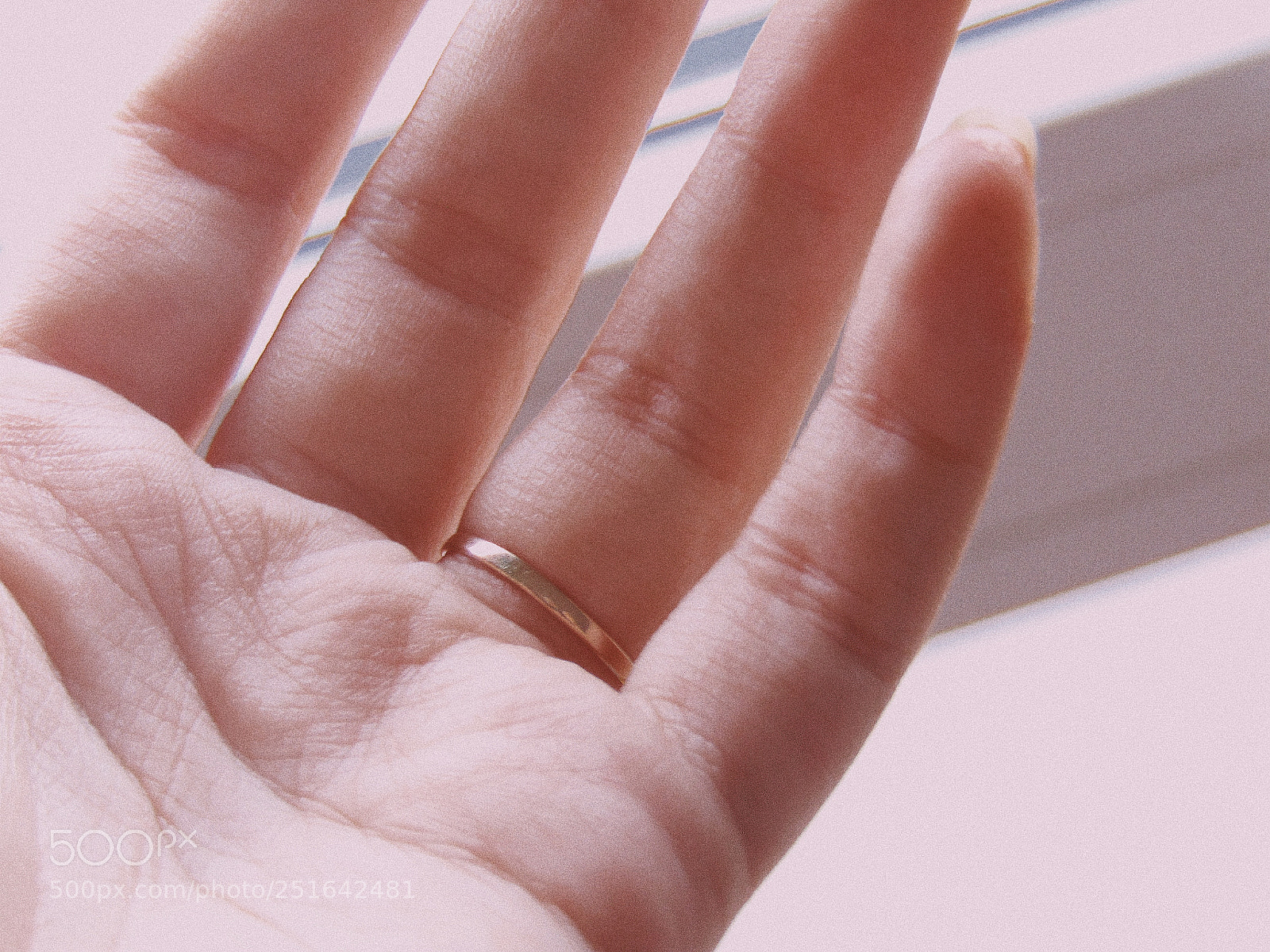Sony Cyber-shot DSC-H300 sample photo. Soft photography