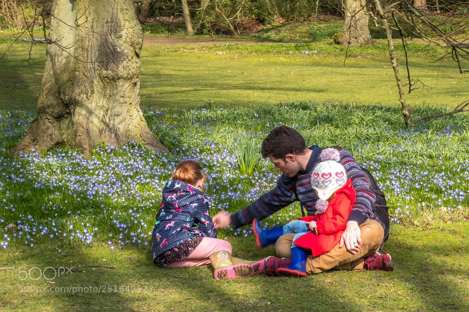 Fujifilm X-H1 sample photo. Dscf photography