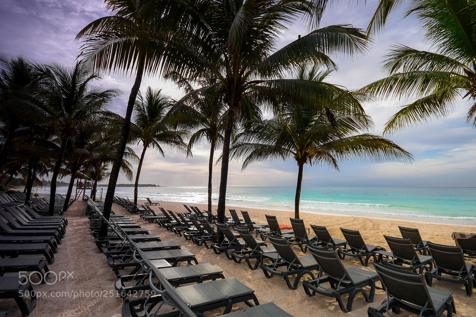 Nikon D810 sample photo. Beach photography