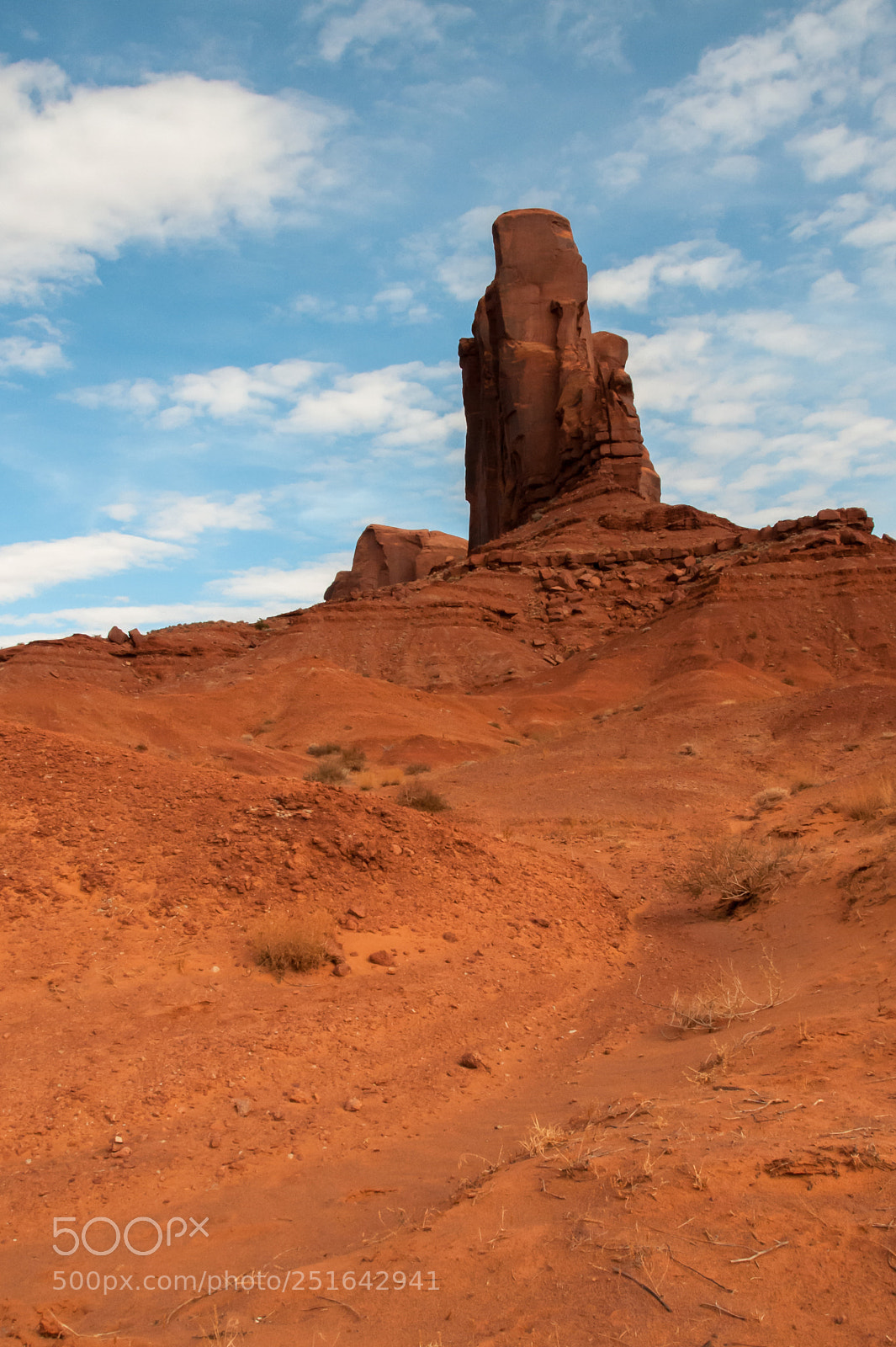 Nikon D300 sample photo. Standing tall photography
