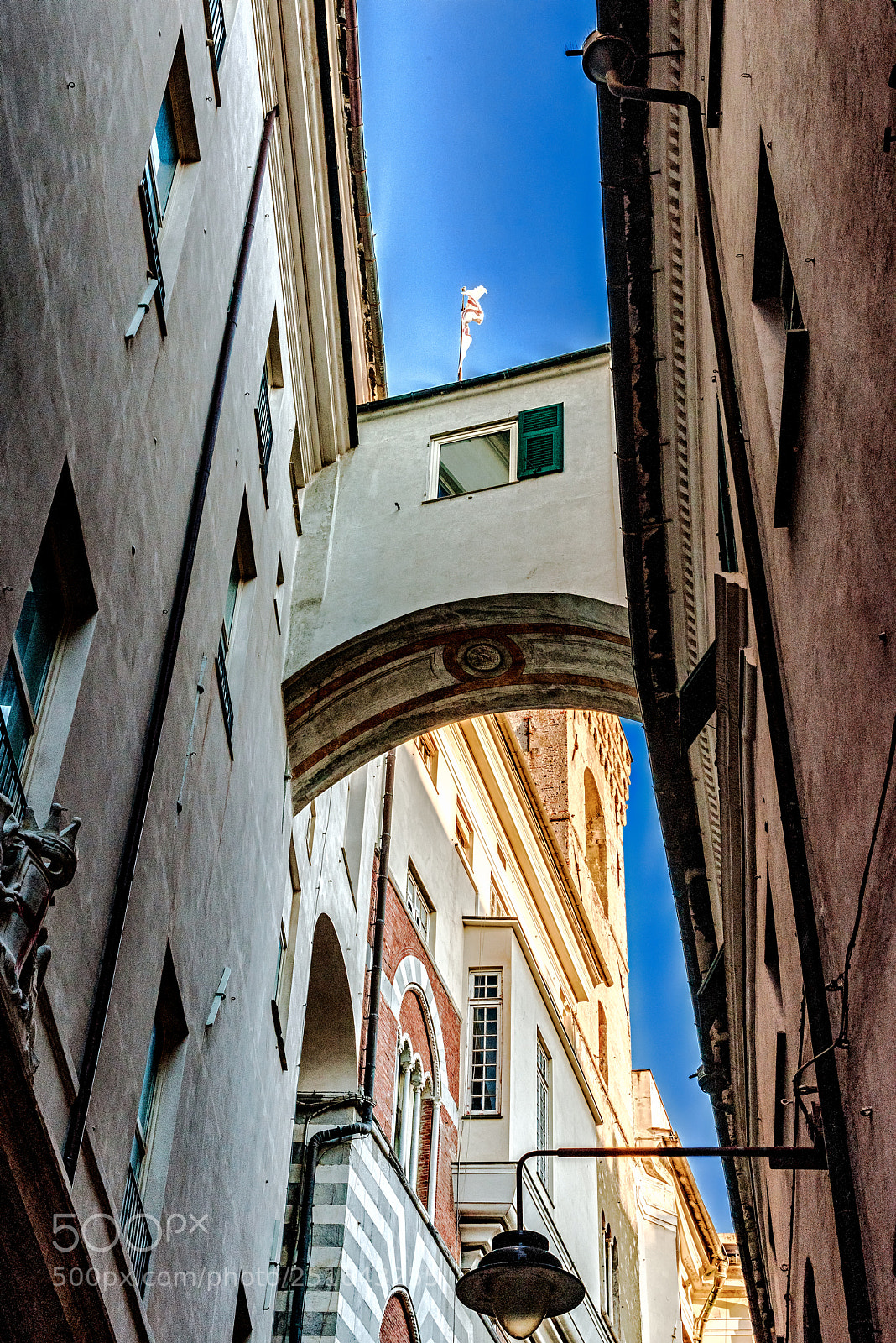Nikon D810 sample photo. Looking up in genova photography