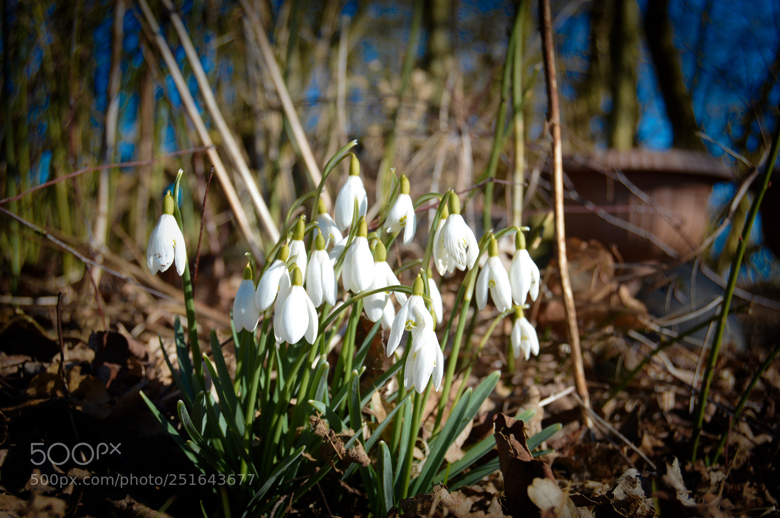 Nikon D3200 sample photo. Untitled photography