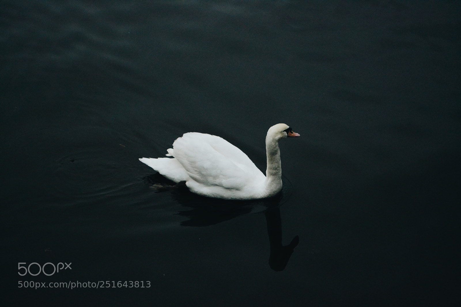 Nikon D3100 sample photo. Processed with vsco with photography