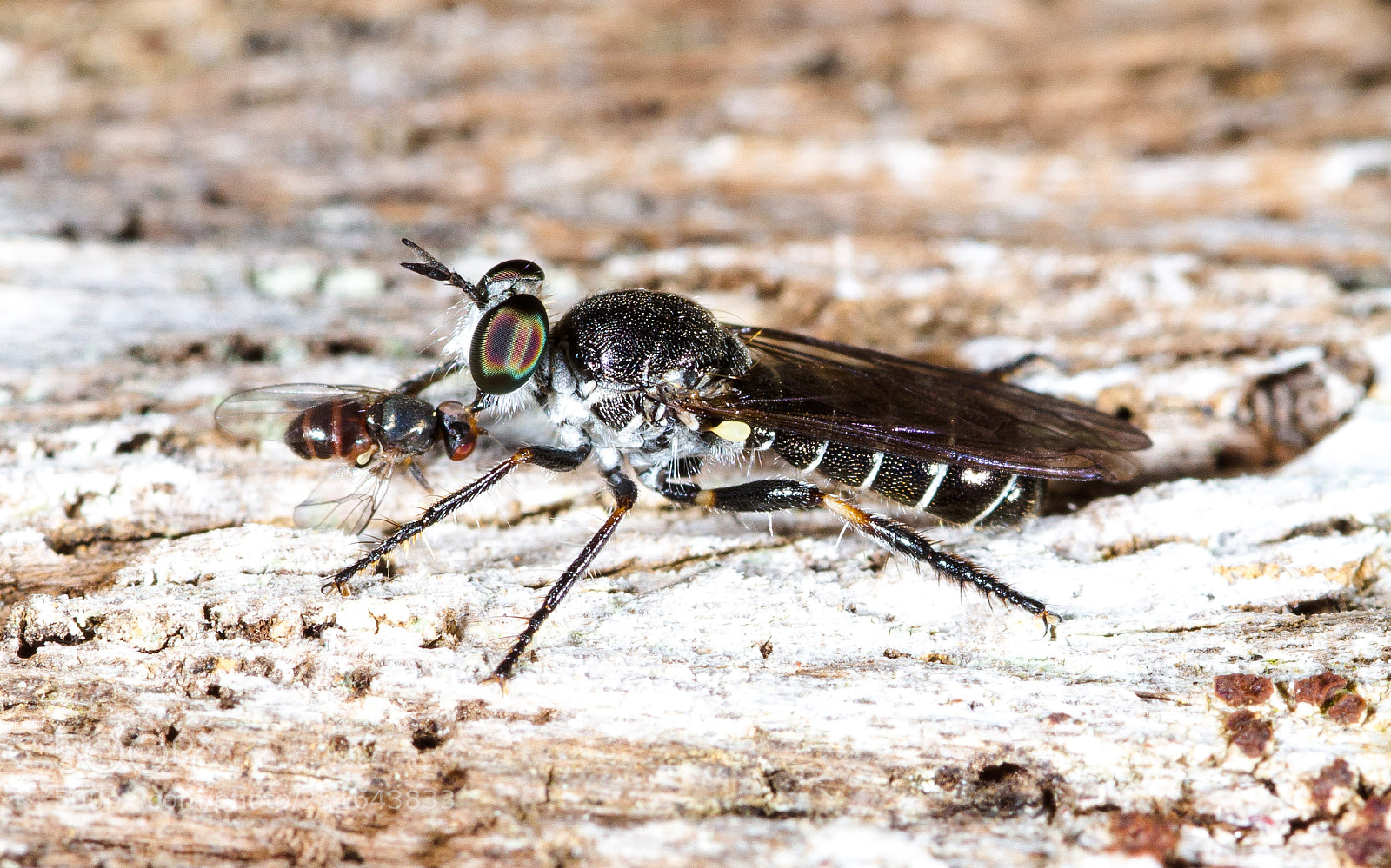 Canon EOS 7D sample photo. Nature photography