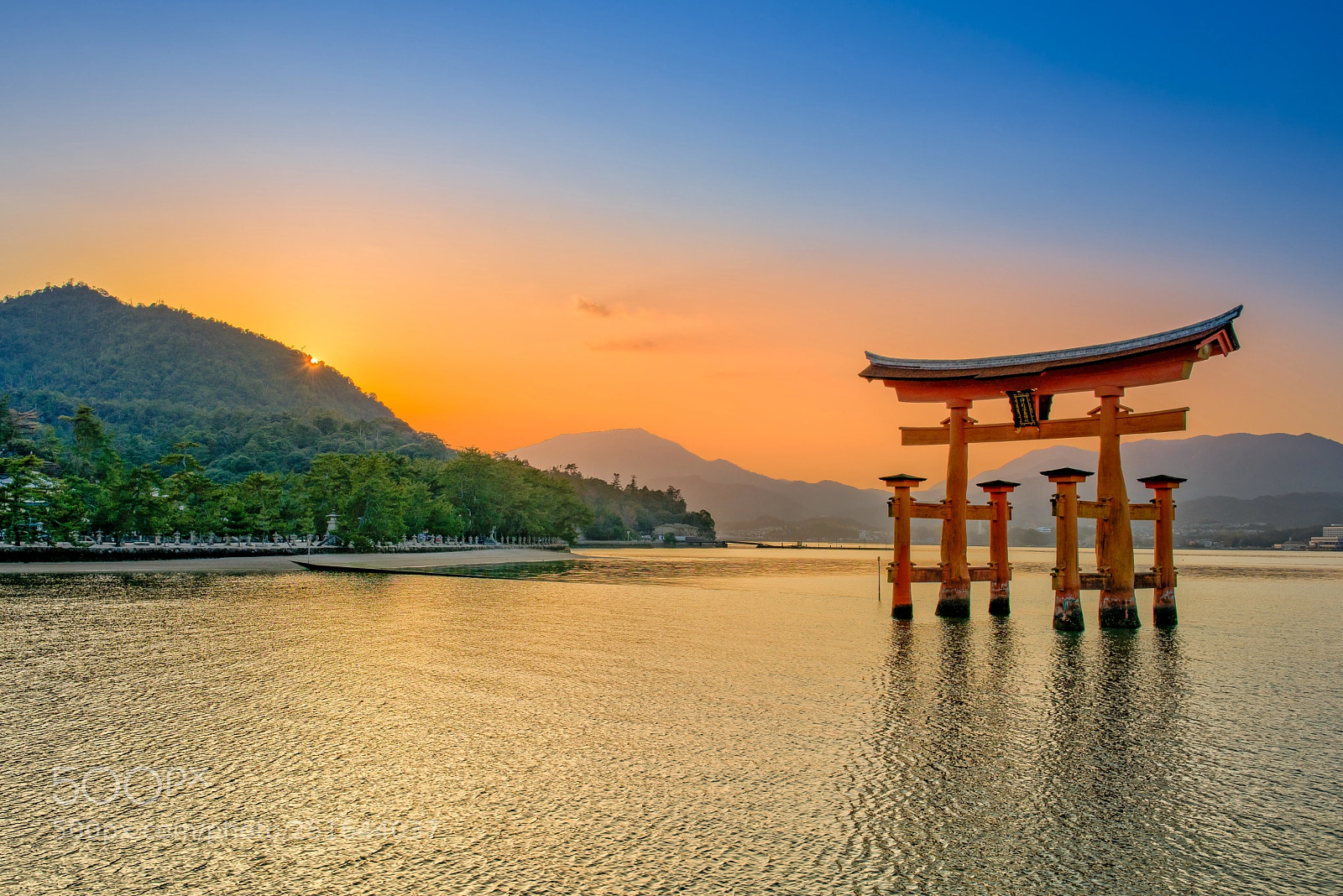 Nikon D810 sample photo. The floating torii of photography