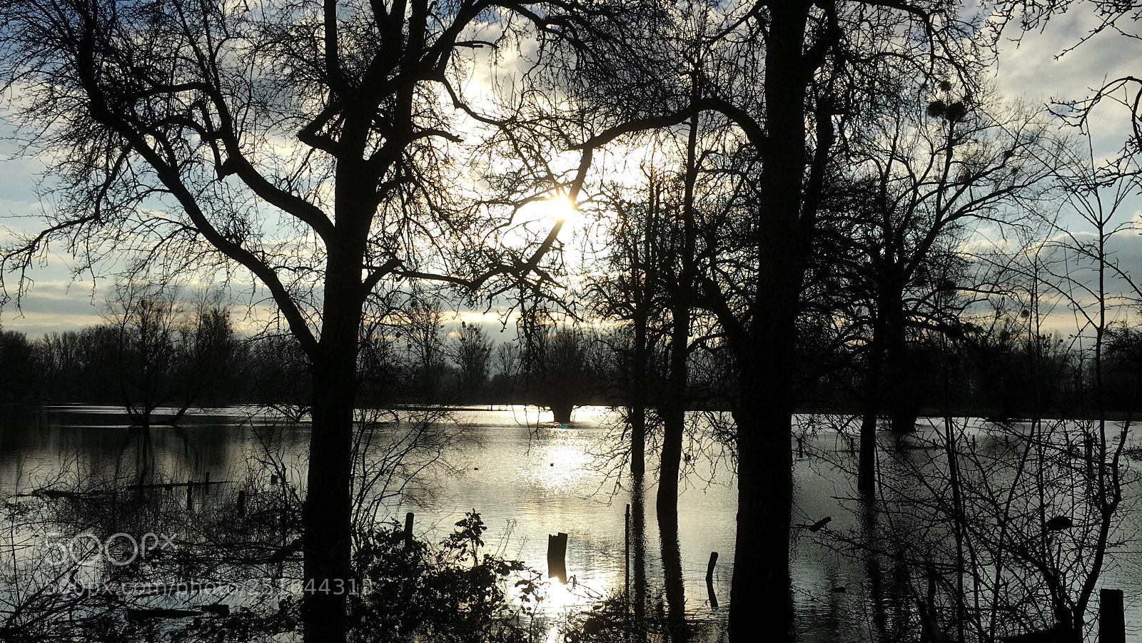Apple iPhone 6s sample photo. Flood on the rhine photography