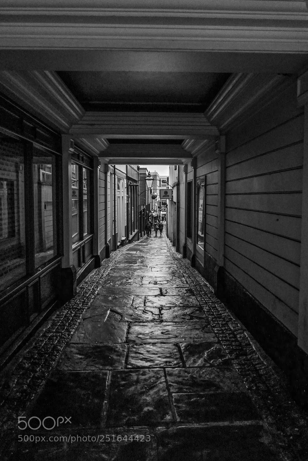 Leica D-Lux (Typ 109) sample photo. Jacksons passage, guildford photography