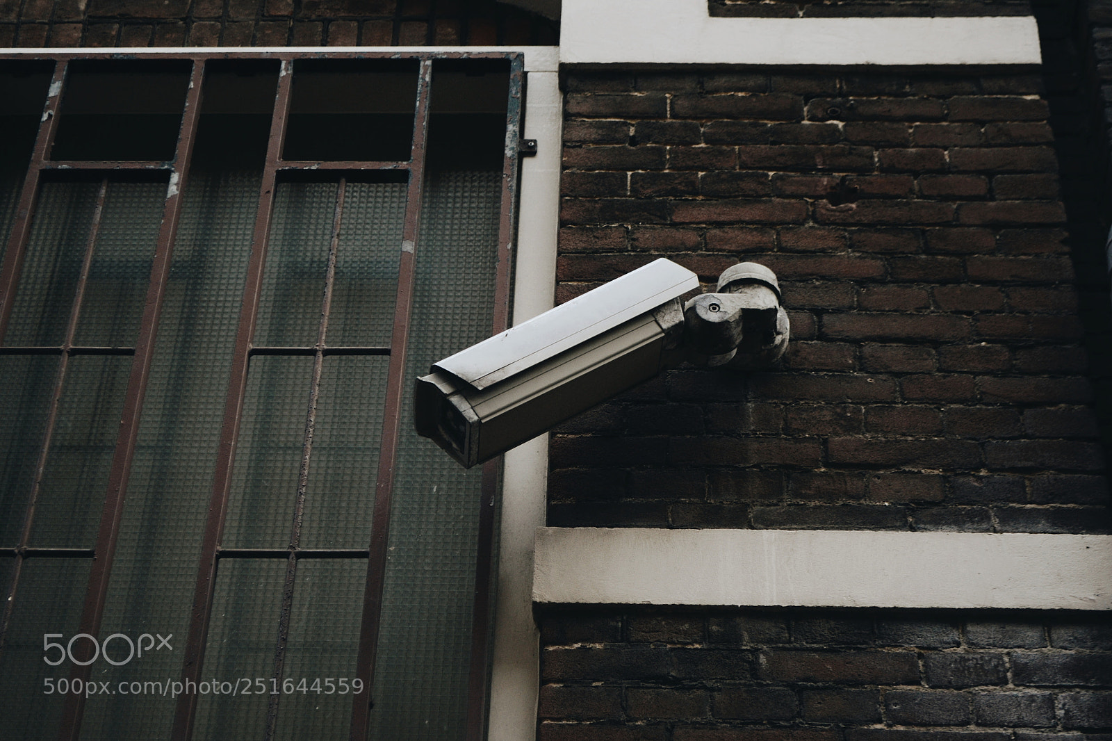 Nikon D3100 sample photo. Processed with vsco with photography