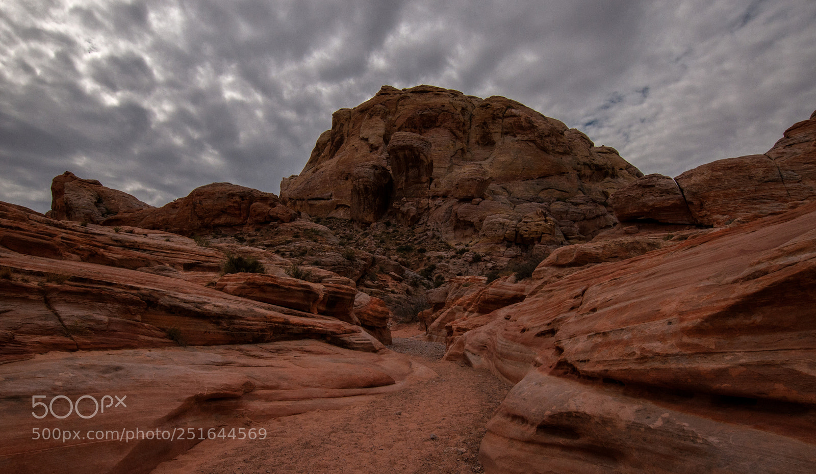 Nikon D300 sample photo. Valley of fire photography