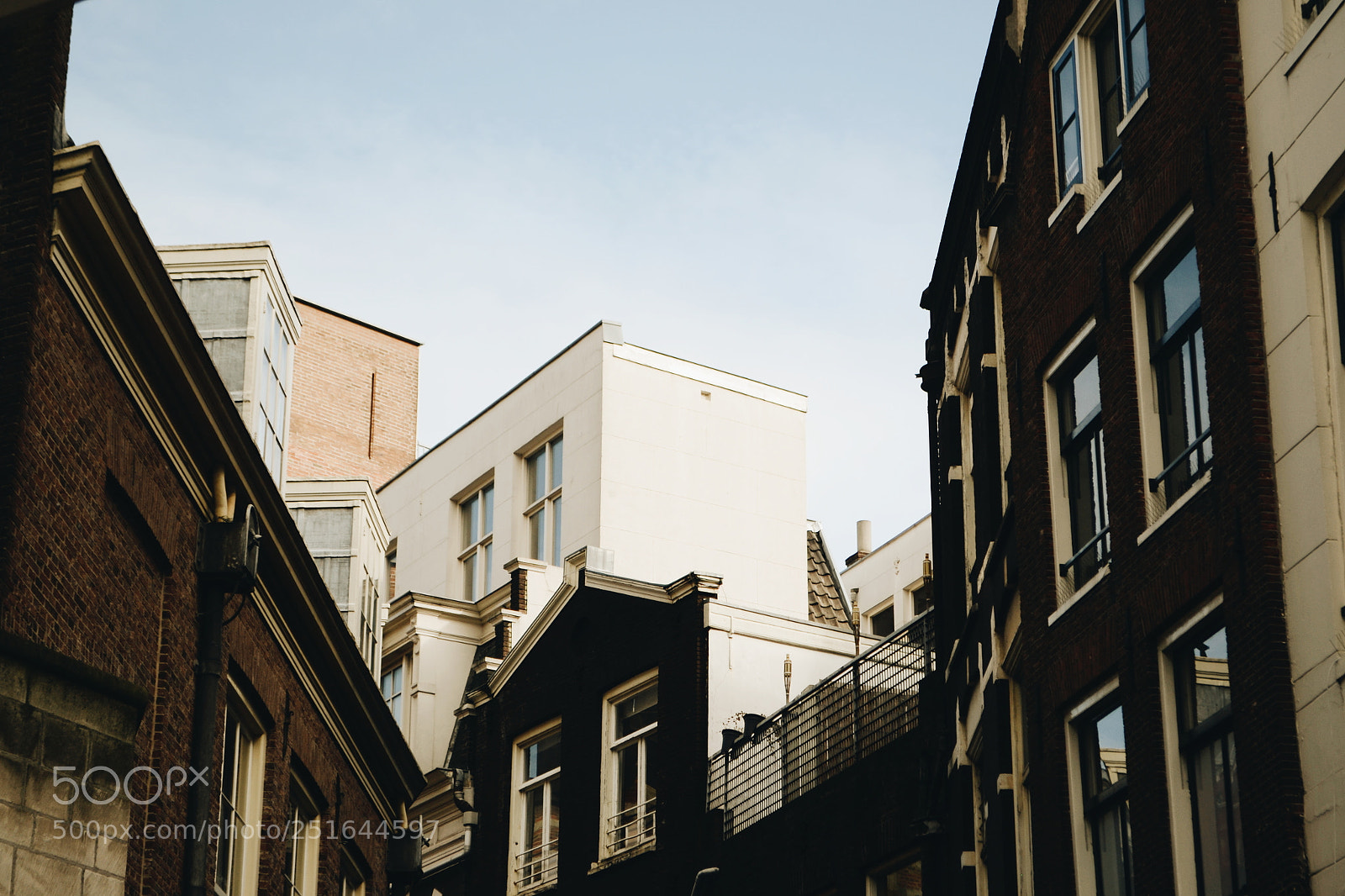 Nikon D3100 sample photo. Processed with vsco with photography