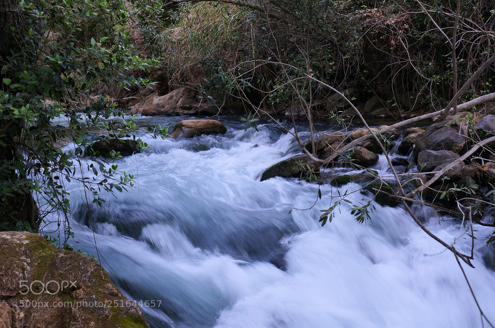 Sony Alpha NEX-5R sample photo. Water's energy photography