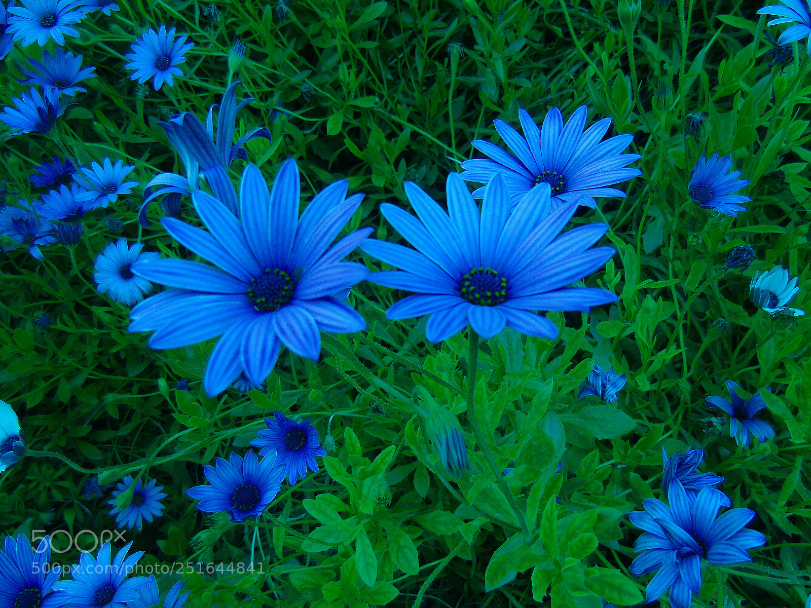 Sony Cyber-shot DSC-H400 sample photo. Untitled photography