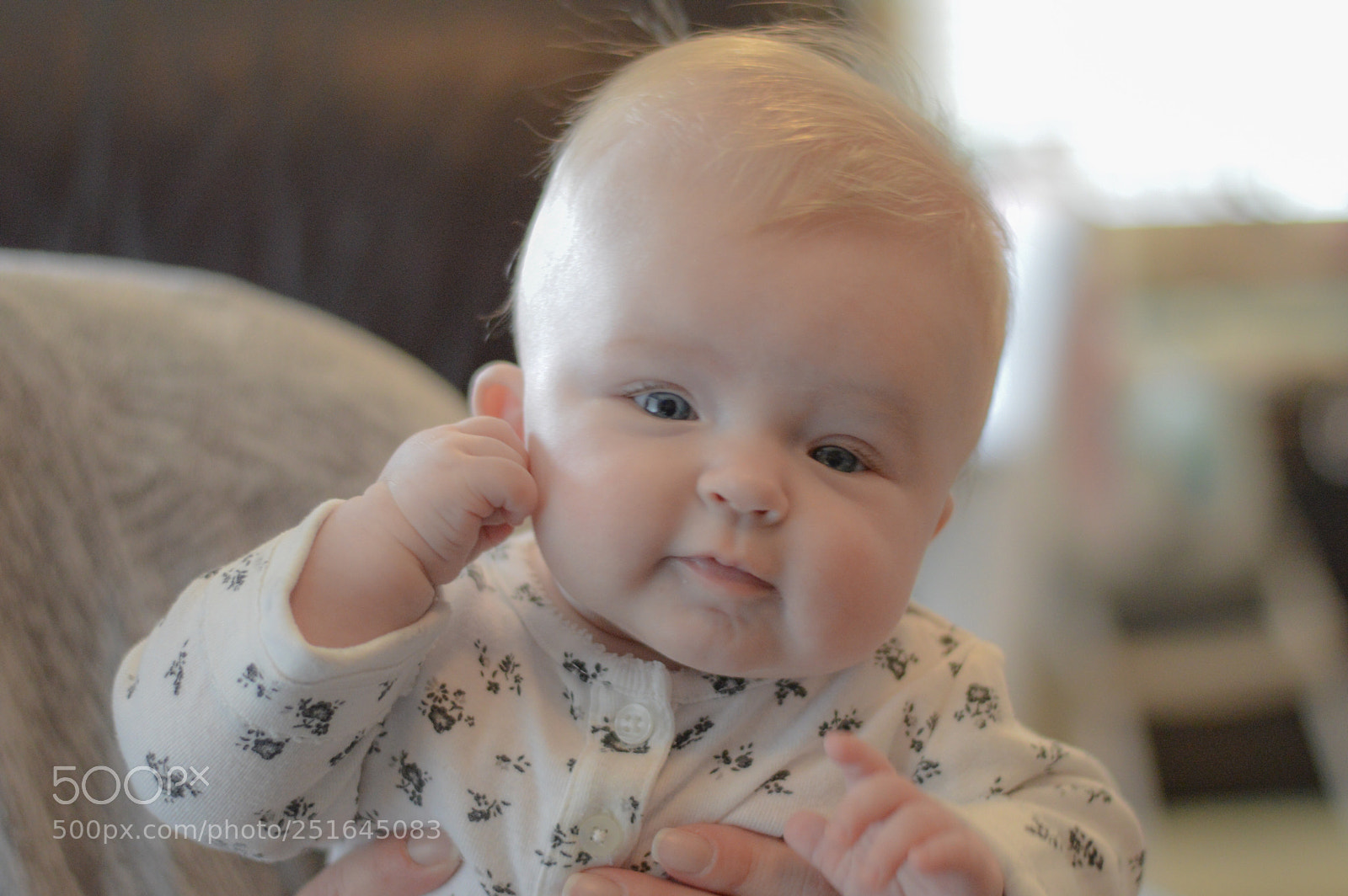 Nikon D3200 sample photo. Untitled photography