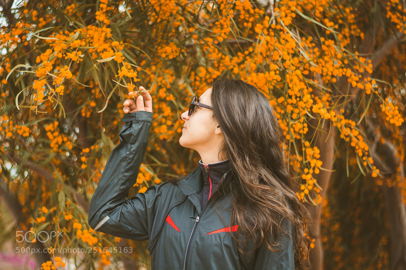 Nikon D5200 sample photo. Autumn v photography
