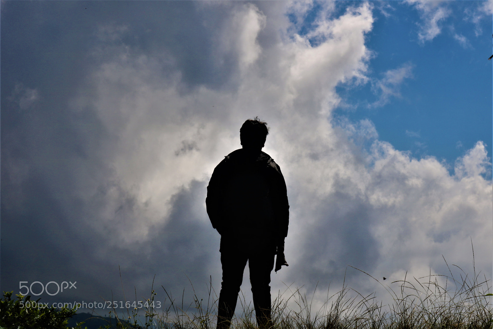 Canon EOS 750D (EOS Rebel T6i / EOS Kiss X8i) sample photo. Under the sky photography