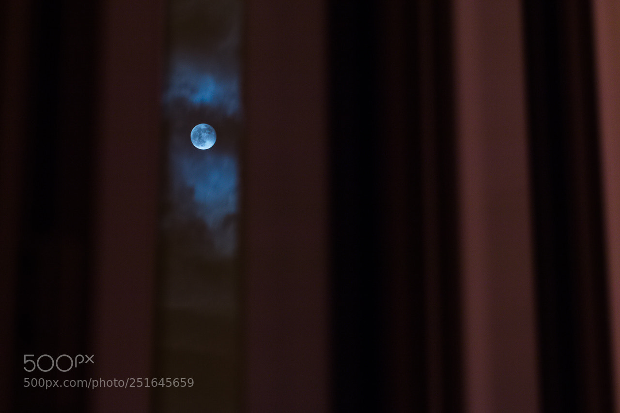 Canon EOS 70D sample photo. Moon at home photography