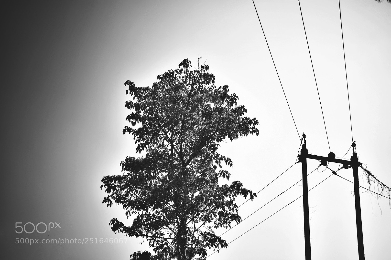 Nikon D3300 sample photo. ? photography