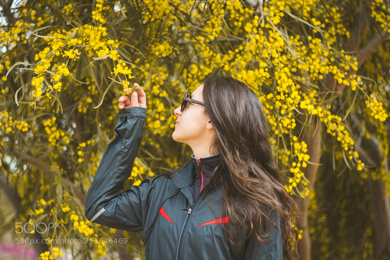 Nikon D5200 sample photo. Original autumn v photography