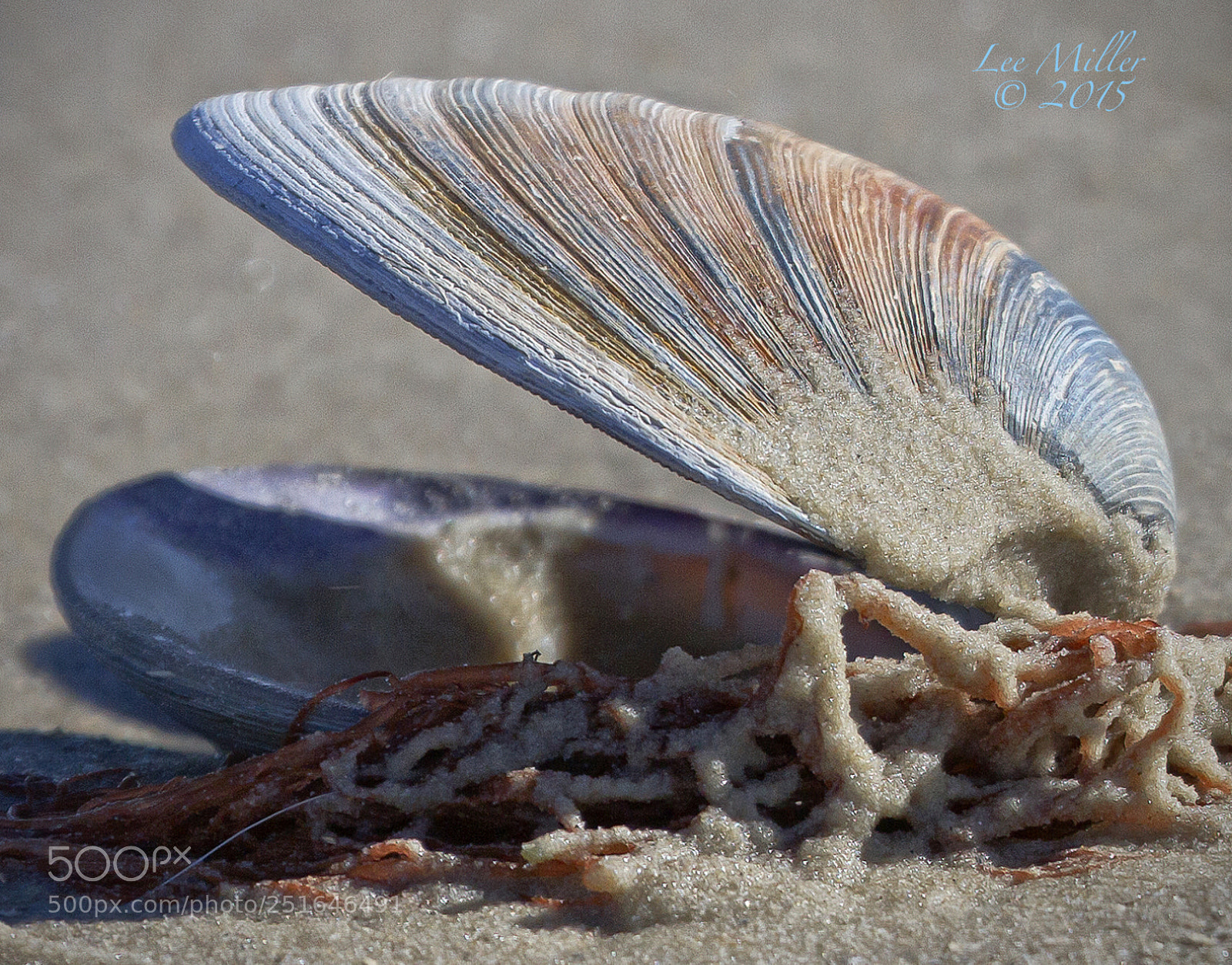 Canon EOS 7D sample photo. Grandview beach photography