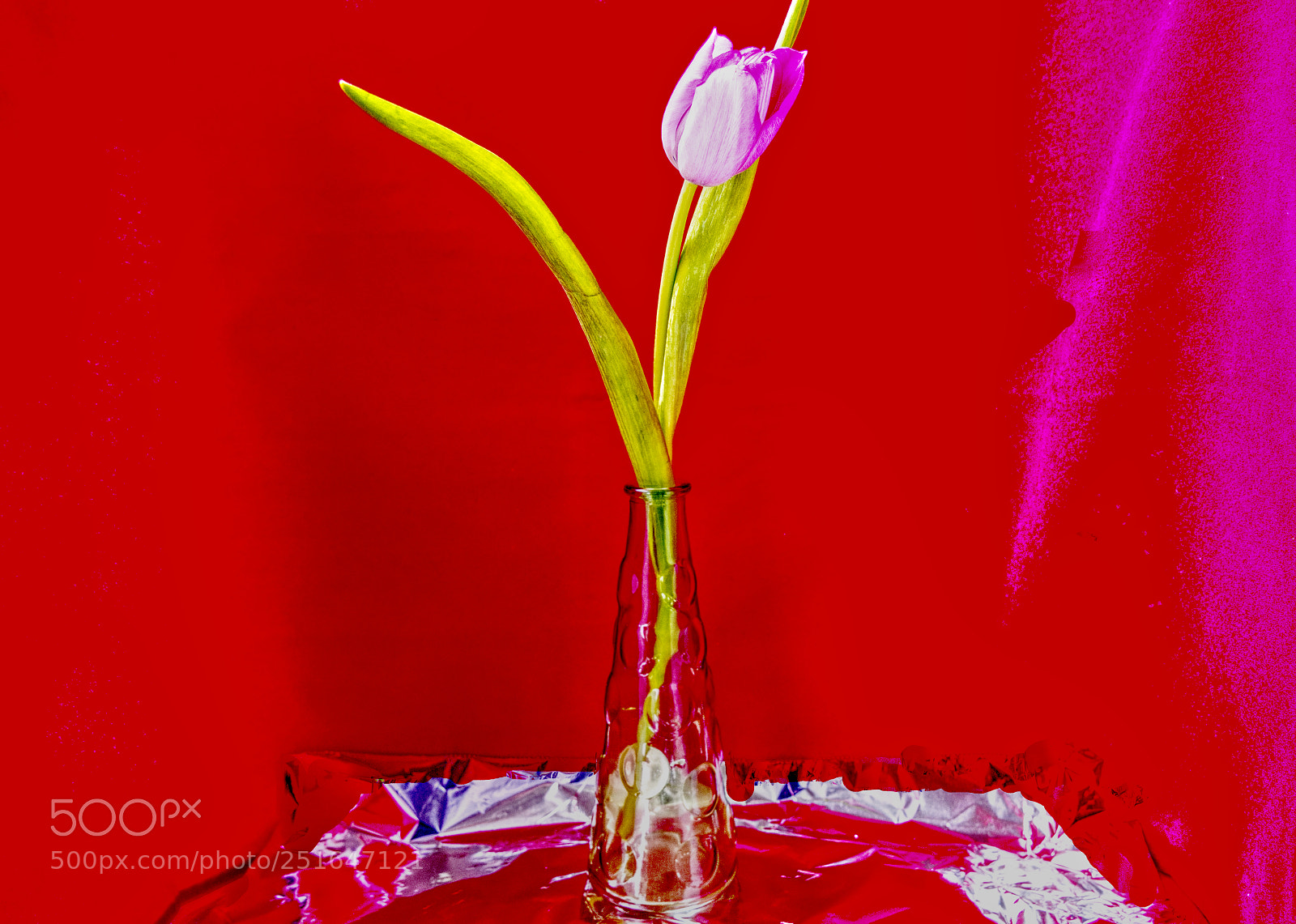 Panasonic Lumix DMC-G85 (Lumix DMC-G80) sample photo. Tulip in vase photography