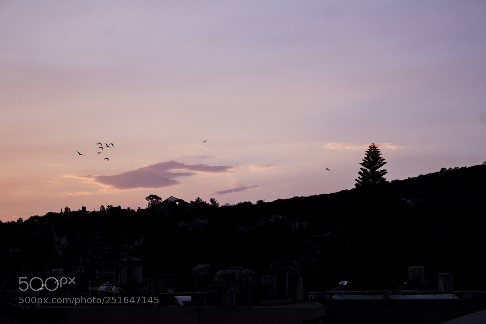 Canon EOS 1200D (EOS Rebel T5 / EOS Kiss X70 / EOS Hi) sample photo. Pink sky photography